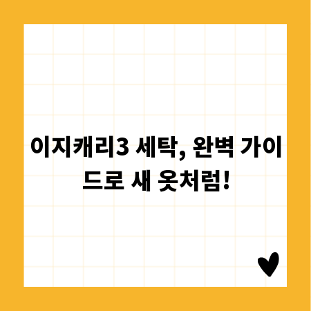 이지캐리3 세탁, 완벽 가이드로 새 옷처럼!