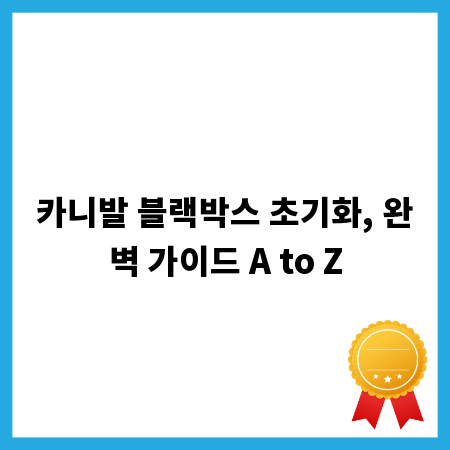 카니발 블랙박스 초기화, 완벽 가이드 A to Z