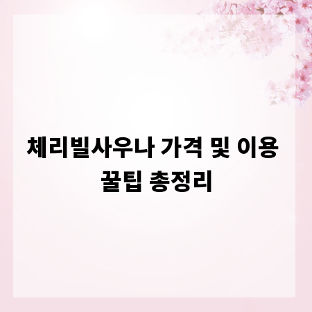체리빌사우나 가격 및 이용 꿀팁 총정리