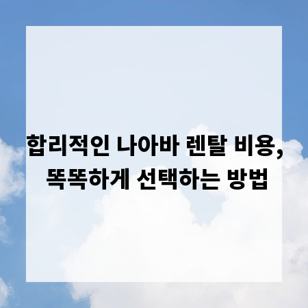 합리적인 나아바 렌탈 비용, 똑똑하게 선택하는 방법