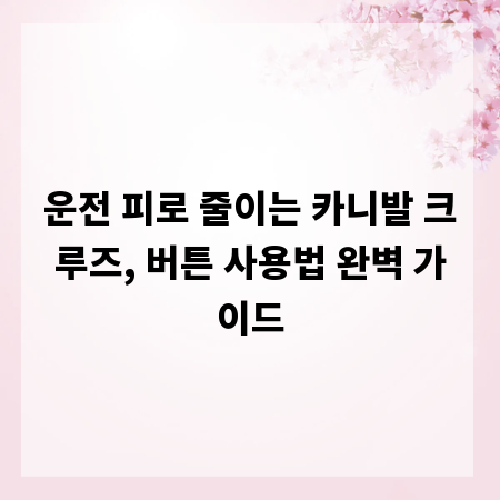 운전 피로 줄이는 카니발 크루즈, 버튼 사용법 완벽 가이드