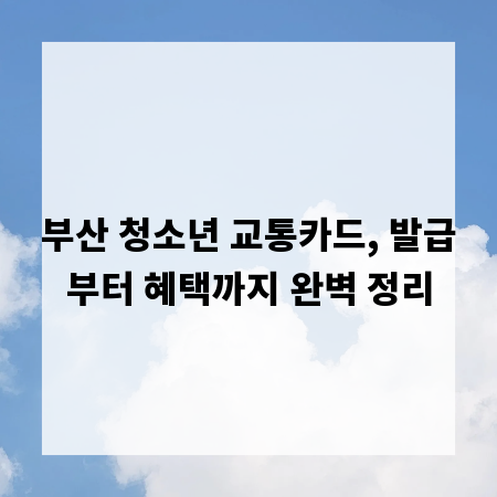 부산 청소년 교통카드, 발급부터 혜택까지 완벽 정리