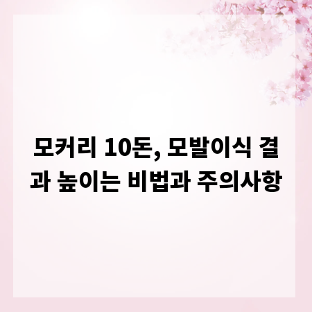 모커리 10돈, 모발이식 결과 높이는 비법과 주의사항