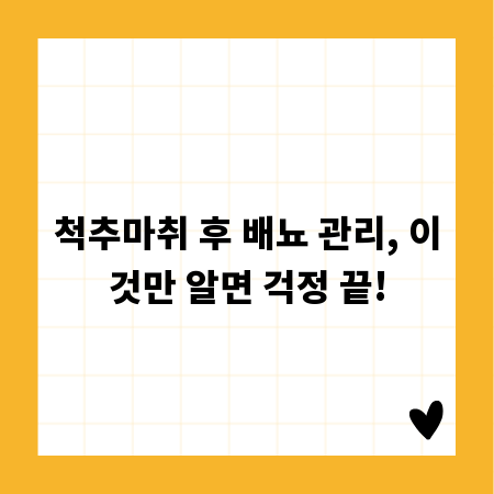 척추마취 후 배뇨 관리, 이것만 알면 걱정 끝!