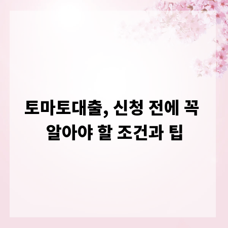 토마토대출, 신청 전에 꼭 알아야 할 조건과 팁