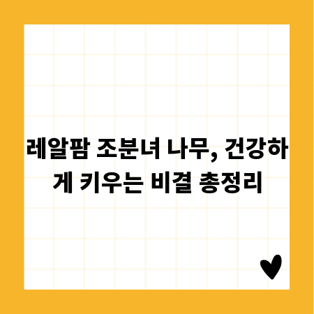레알팜 조분녀 나무, 건강하게 키우는 비결 총정리