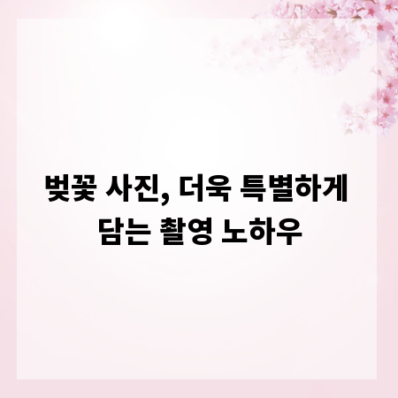 벚꽃 사진, 더욱 특별하게 담는 촬영 노하우