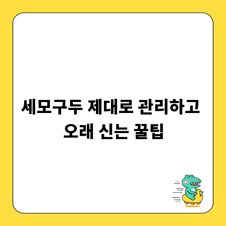 세모구두 제대로 관리하고 오래 신는 꿀팁