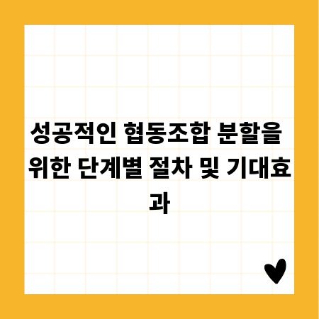 성공적인 협동조합 분할을 위한 단계별 절차 및 기대효과