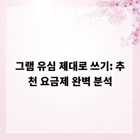 그램 유심 제대로 쓰기: 추천 요금제 완벽 분석