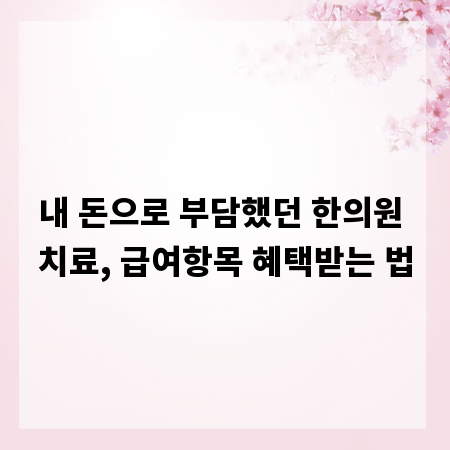 내 돈으로 부담했던 한의원 치료, 급여항목 혜택받는 법