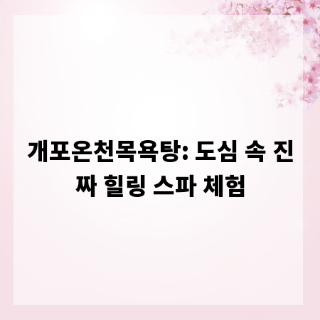 개포온천목욕탕: 도심 속 진짜 힐링 스파 체험