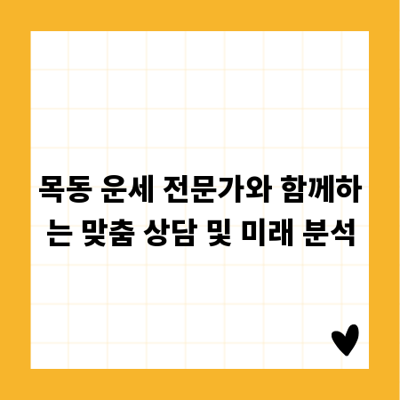 목동 운세 전문가와 함께하는 맞춤 상담 및 미래 분석