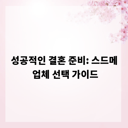 성공적인 결혼 준비: 스드메 업체 선택 가이드