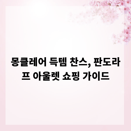 몽클레어 득템 찬스, 판도라프 아울렛 쇼핑 가이드