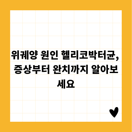 위궤양 원인 헬리코박터균, 증상부터 완치까지 알아보세요