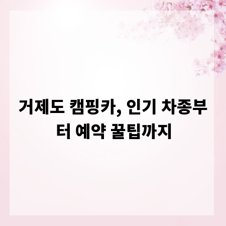 거제도 캠핑카, 인기 차종부터 예약 꿀팁까지