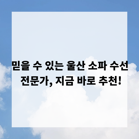 믿을 수 있는 울산 소파 수선 전문가, 지금 바로 추천!