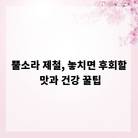 뿔소라 제철, 놓치면 후회할 맛과 건강 꿀팁