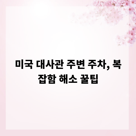 미국 대사관 주변 주차, 복잡함 해소 꿀팁