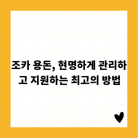 조카 용돈, 현명하게 관리하고 지원하는 최고의 방법