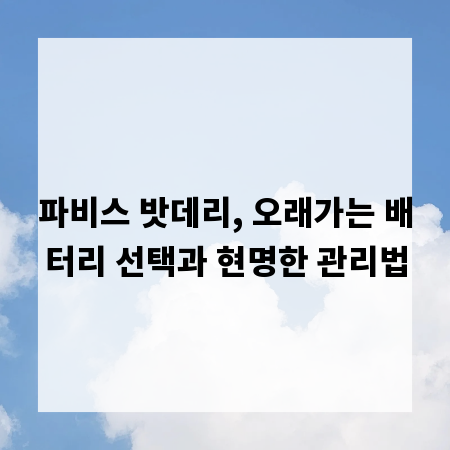 파비스 밧데리, 오래가는 배터리 선택과 현명한 관리법