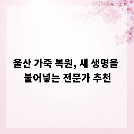울산 가죽 복원, 새 생명을 불어넣는 전문가 추천