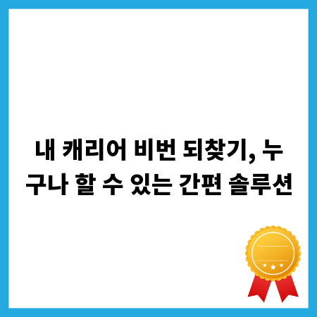 내 캐리어 비번 되찾기, 누구나 할 수 있는 간편 솔루션