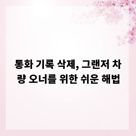 통화 기록 삭제, 그랜저 차량 오너를 위한 쉬운 해법