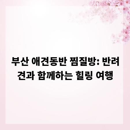 부산 애견동반 찜질방: 반려견과 함께하는 힐링 여행