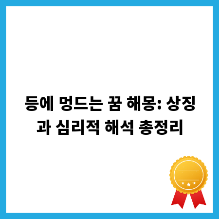 등에 멍드는 꿈 해몽: 상징과 심리적 해석 총정리