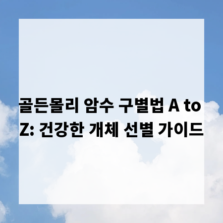 골든몰리 암수 구별법 A to Z: 건강한 개체 선별 가이드