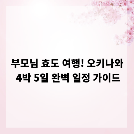 부모님 효도 여행! 오키나와 4박 5일 완벽 일정 가이드