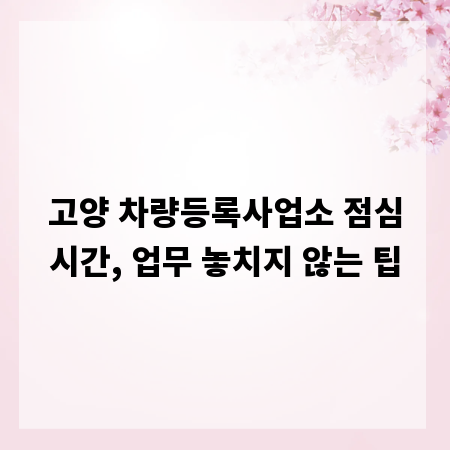 고양 차량등록사업소 점심시간, 업무 놓치지 않는 팁