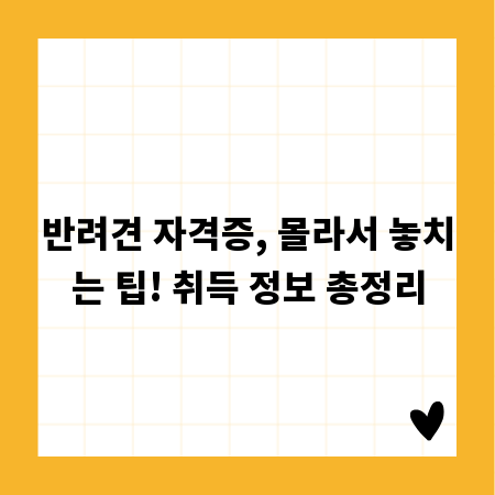 반려견 자격증, 몰라서 놓치는 팁! 취득 정보 총정리