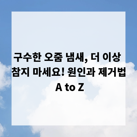 구수한 오줌 냄새, 더 이상 참지 마세요! 원인과 제거법 A to Z