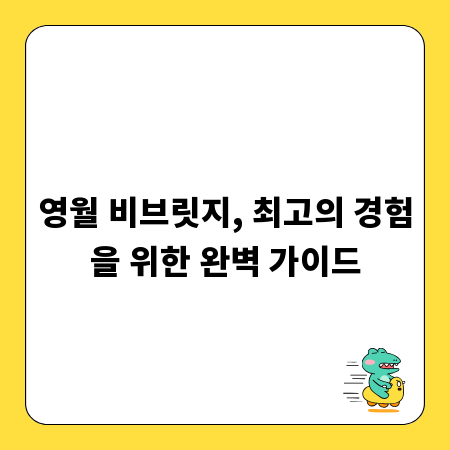 영월 비브릿지, 최고의 경험을 위한 완벽 가이드