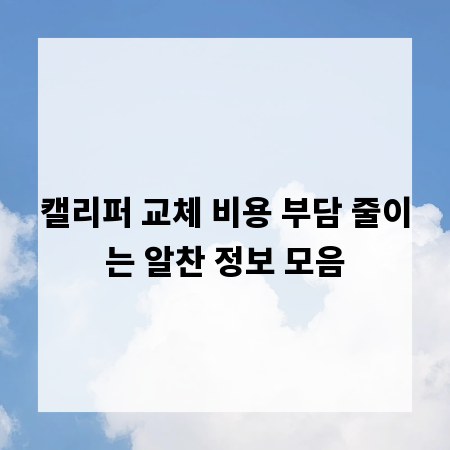 캘리퍼 교체 비용 부담 줄이는 알찬 정보 모음
