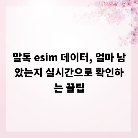 말톡 esim 데이터, 얼마 남았는지 실시간으로 확인하는 꿀팁