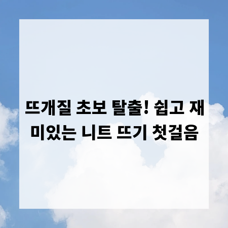 뜨개질 초보 탈출! 쉽고 재미있는 니트 뜨기 첫걸음