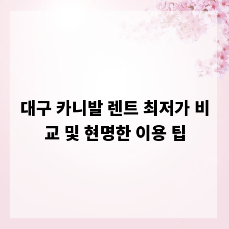 대구 카니발 렌트 최저가 비교 및 현명한 이용 팁