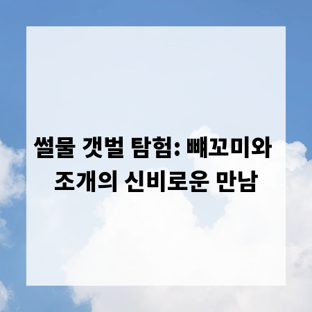 썰물 갯벌 탐험: 뺴꼬미와 조개의 신비로운 만남
