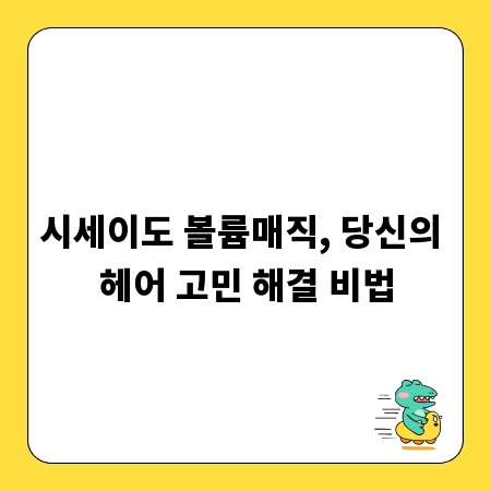 시세이도 볼륨매직, 당신의 헤어 고민 해결 비법