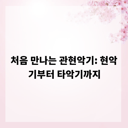 처음 만나는 관현악기: 현악기부터 타악기까지