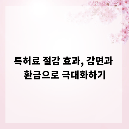 특허료 절감 효과, 감면과 환급으로 극대화하기