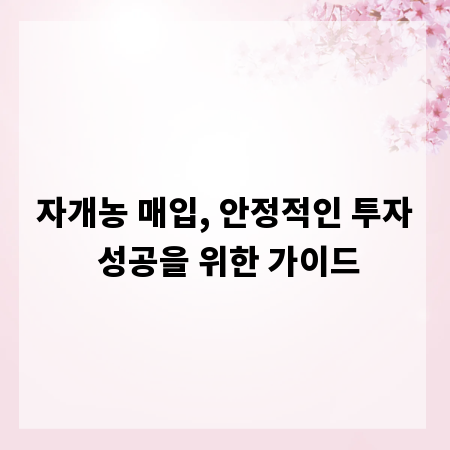 자개농 매입, 안정적인 투자 성공을 위한 가이드